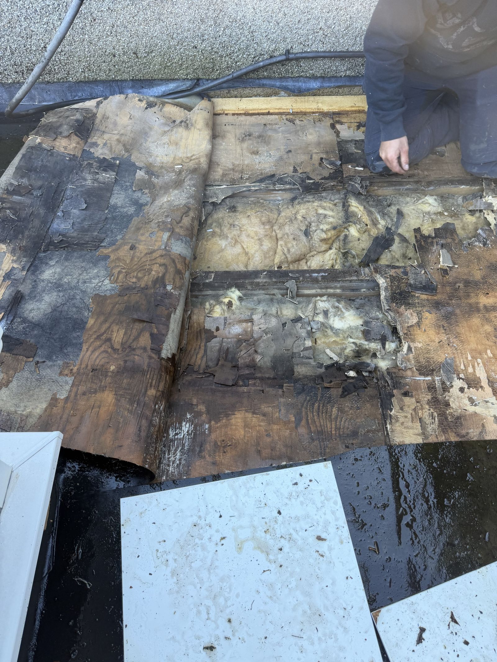 Before — rotted timber & saturated insulation